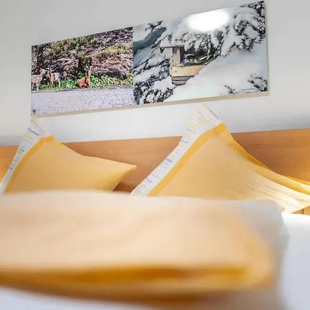 Hotel Alpenhof 2*